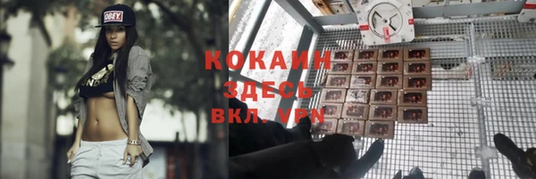 дмт Алексин