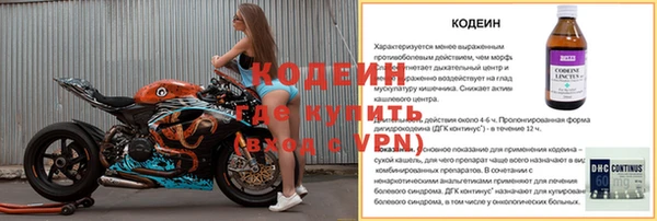 дмт Алексин