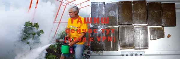 дмт Алексин