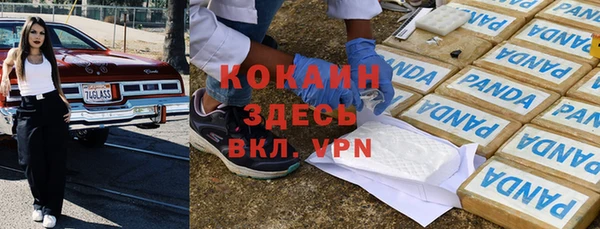 крисы Алзамай