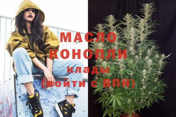 винт Абаза