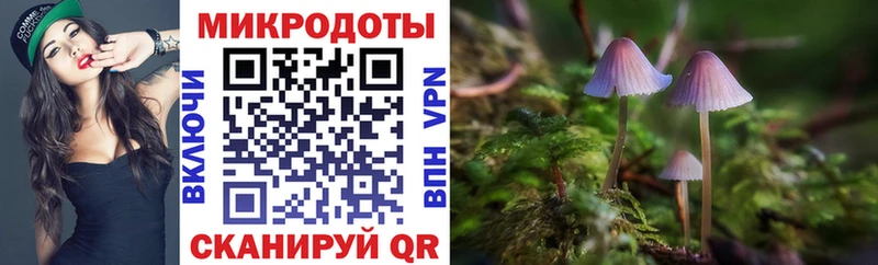Галлюциногенные грибы Psilocybine cubensis  Сясьстрой 