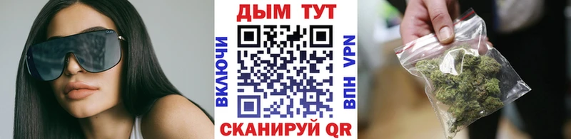 mega как зайти  Сясьстрой  Каннабис Amnesia  купить  цена 